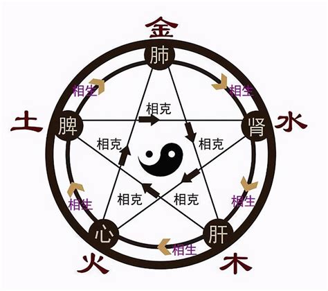 名字 金木水火土